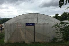 Phrae-15