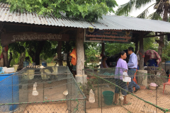 Ubon-8